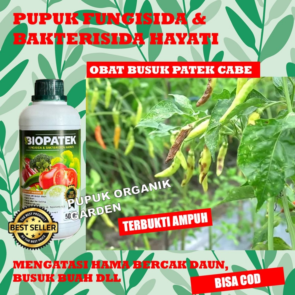 (AMPUH) BIOPATEK 500 ml OBAT HAMA PATEK CABE Obat Patek Cabe Ampuh, Antipatek Cabe, Obat Hama Patek 