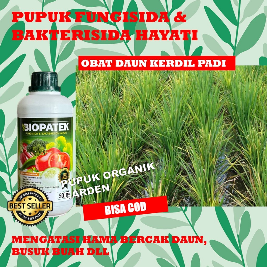 FUNGISIDA BIOPATEK Obat Padi Kerdil Daun Kening Terbaik, Obat Padi Daun Kuning/Virus Kuning/Busuk Bu