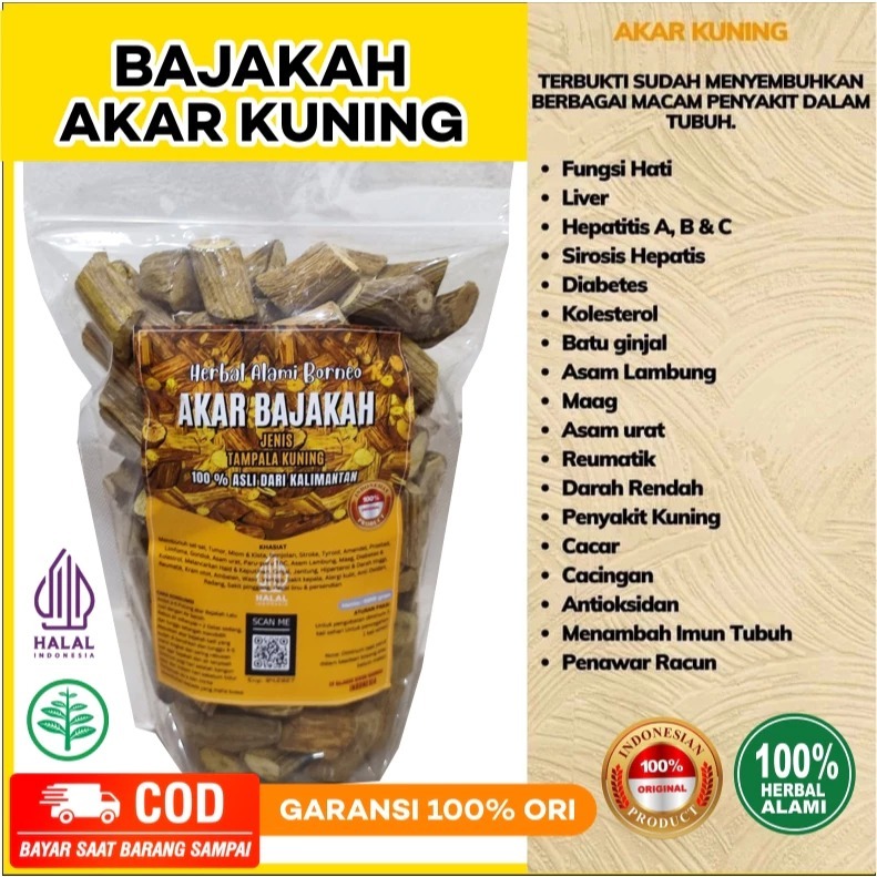 

Akar Bajakah KUNING Asli Kalimantan 100% Original dari Seribu Barokah