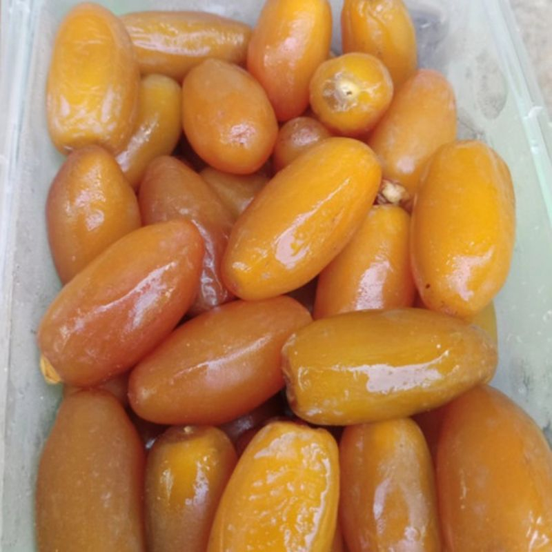 

Kurma Ruthob 1kg - Kurma Libya Authentic Tunisian Delicacy
