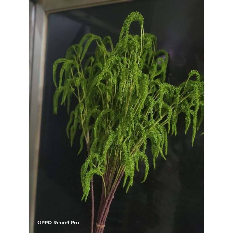 (6pcs) tanaman Artificial rumbai ekor tupai
