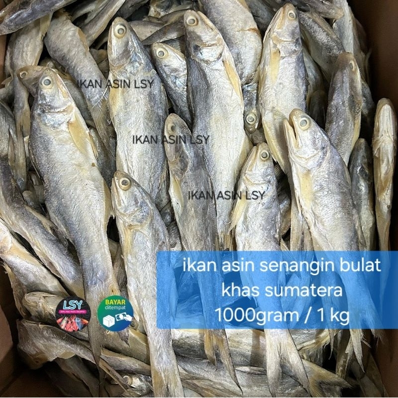 

ikan asin senangin bulat khas sumatera 1000gram / 1 kg