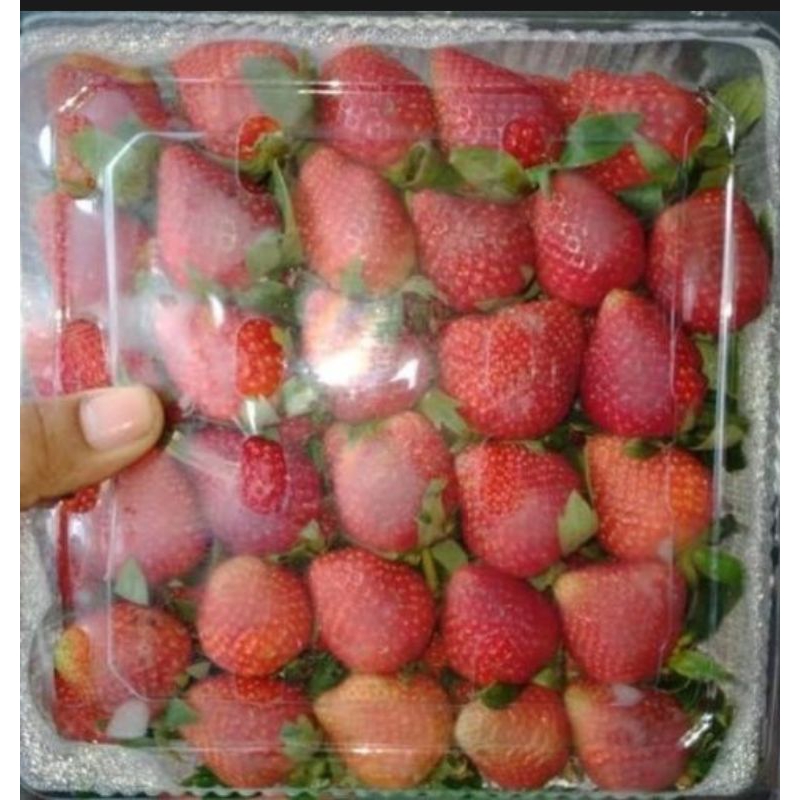 

stoberi merah segar fresh 1kg