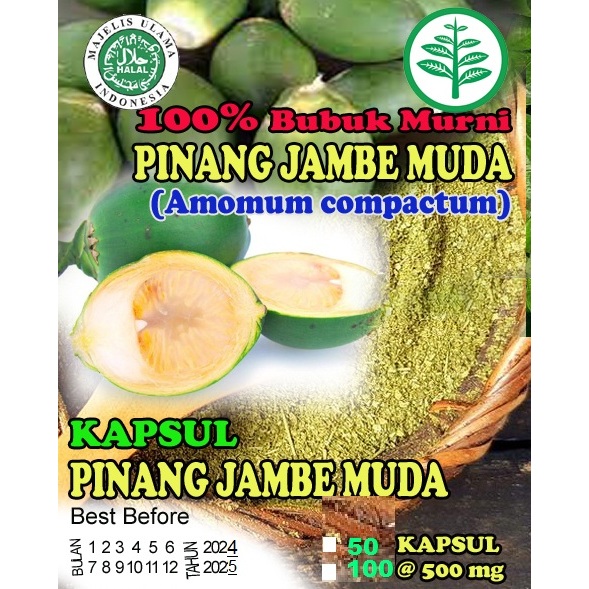 

PINANG / JAMBE MUDA ORGANIK bubuk >> Herbal Pria dan Wanita <<
