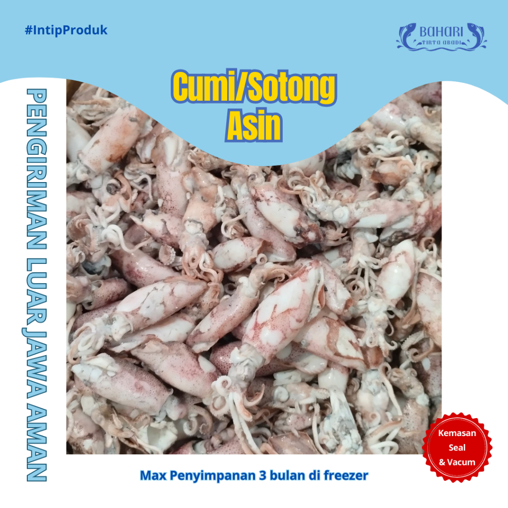 

BAHARI TIRTA ABADI - SOTONG CUMI REBUS ASIN (CK JUMBO TOP) MUARA 1kg 500gr 250gr