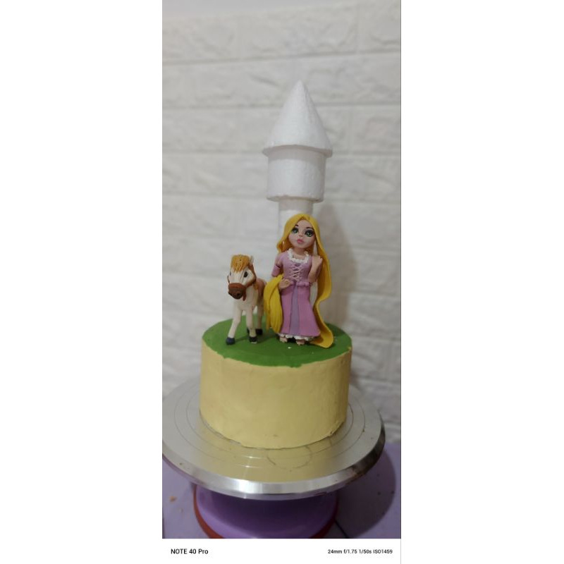 

cake topper fondant (Rapunzel)