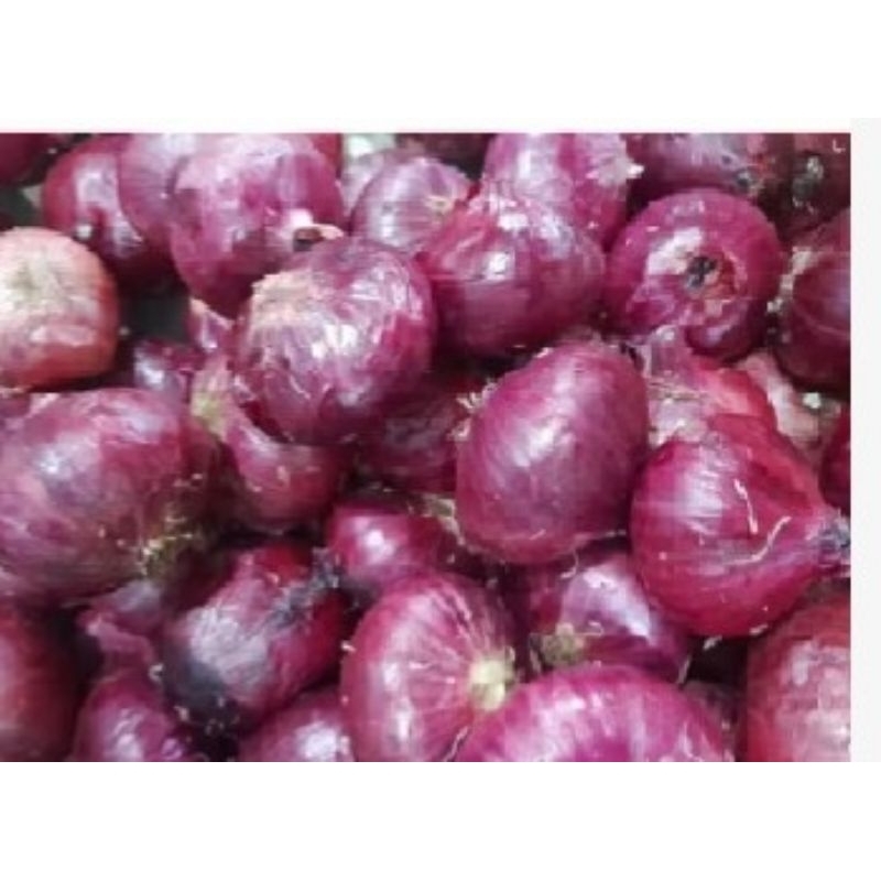 

bawang merah India,/1000 gr