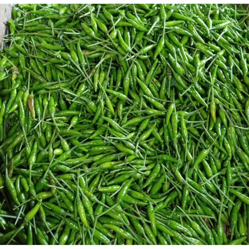 

sayur mayur cabe rawit hijau250gr500gr1kg