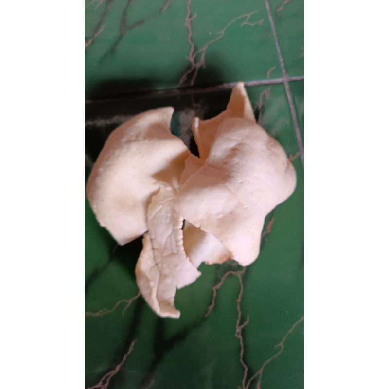 

kerupuk matang rambak gandum