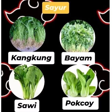 

Aneka Sayuran