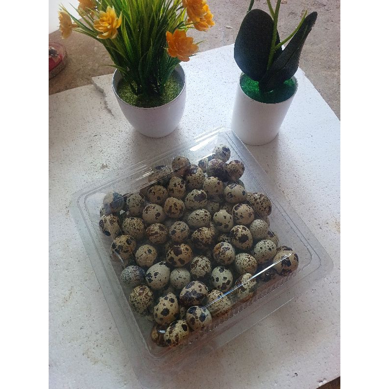 

Telur Puyuh Konsumsi per 1kg - Khusus Instan Kurir