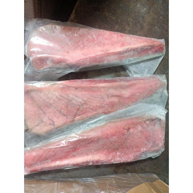 

Ikan Toro