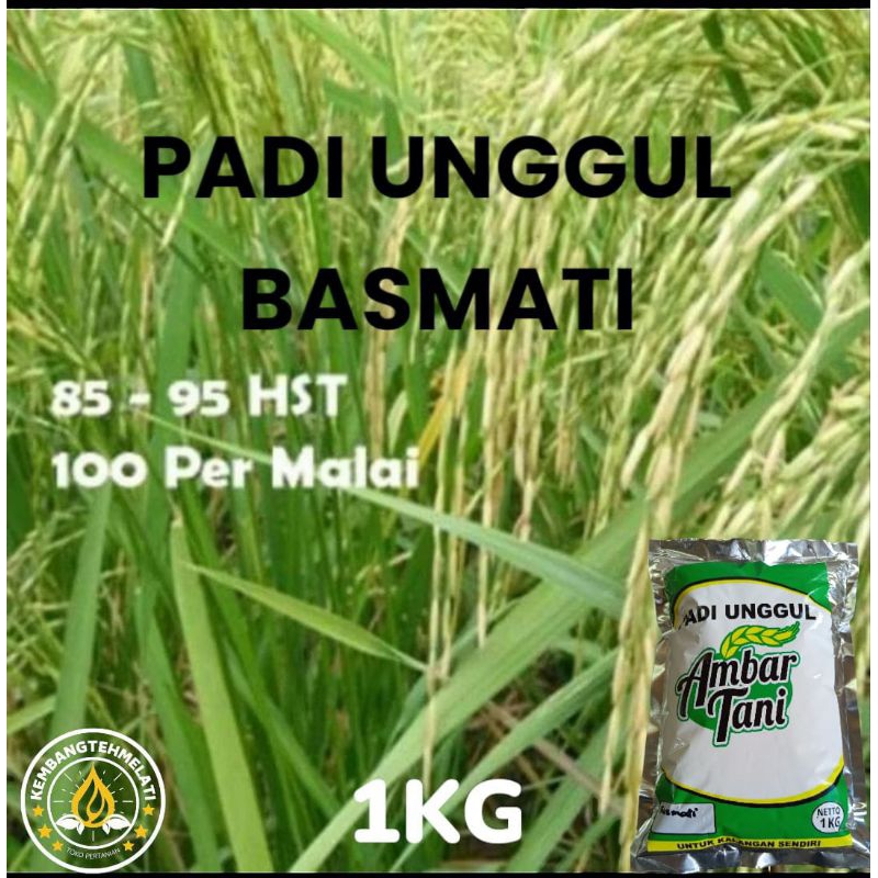 

BENIH PADI BASMATI PREMIUM KEMASAN 1KG