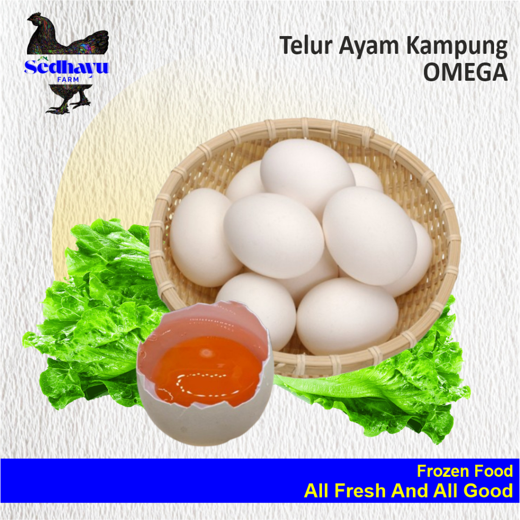 

TELUR AYAM KAMPUNG OMEGA 3