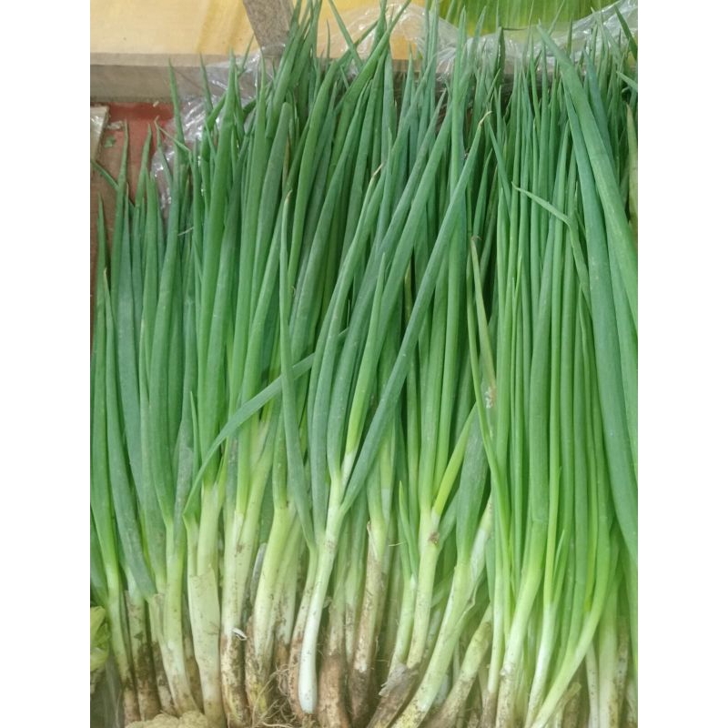 

sayur mayur daun bawang/bakung 250gr 500gr 1000gr