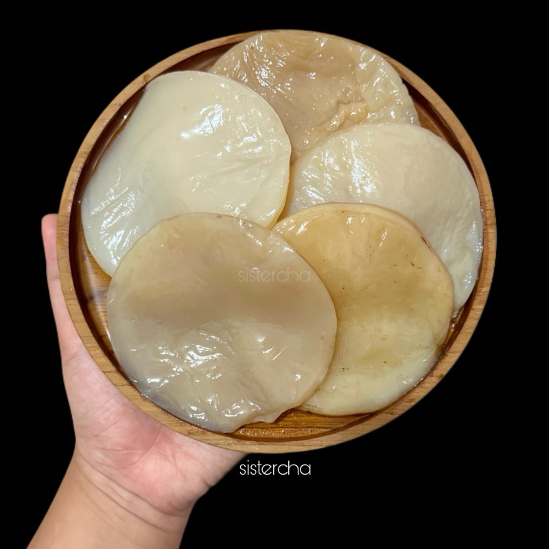 SCOBY KOMBUCHA / STARTER KOMBUCHA / KOMBUCHA PREMIUM / SCOBY FERMENTASI / KOMBUCHA LOMBOK / SISTERCH