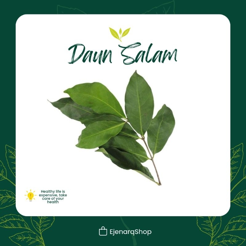 

Daun Salam perlembar