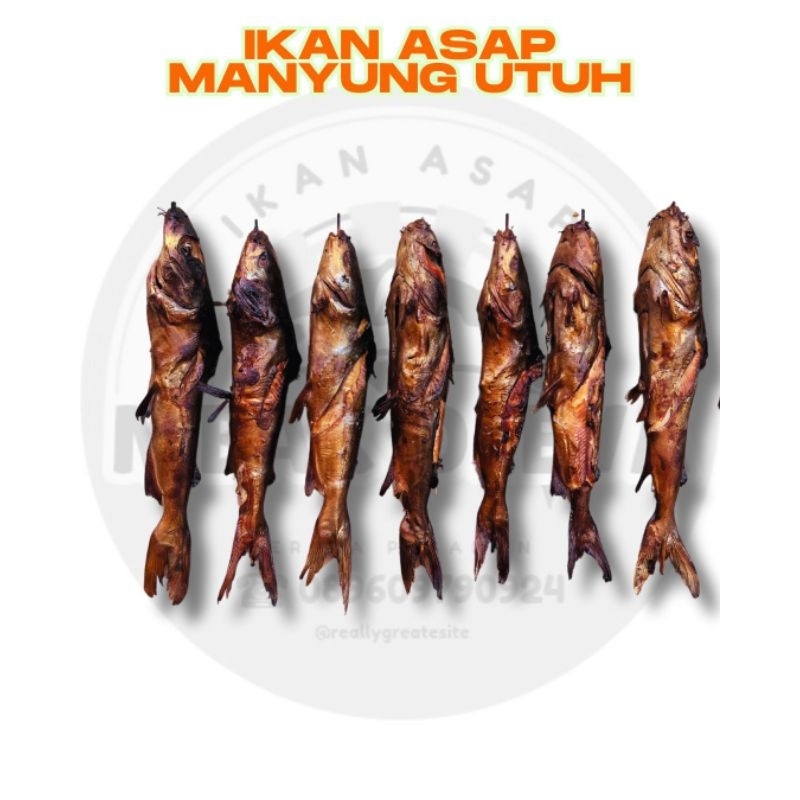 

Ikan Asap Manyung utuh uda bersih isi 5 Murah Rp 20rb