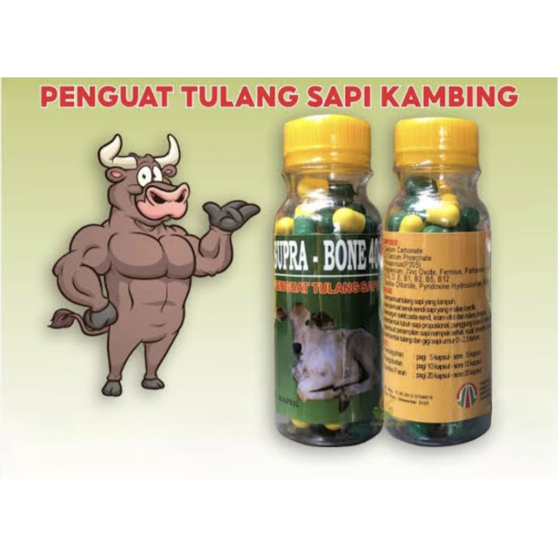 Supra bone 40  obat tulang sapi kambing lumpuh pincang tedun