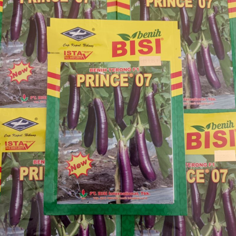 Terong Bisi prince 07