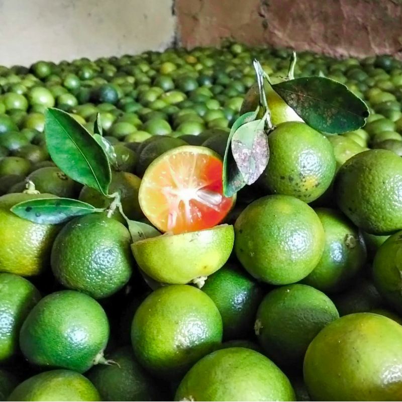 

1kg jeruk sonkit kasturi kunci lemon cui