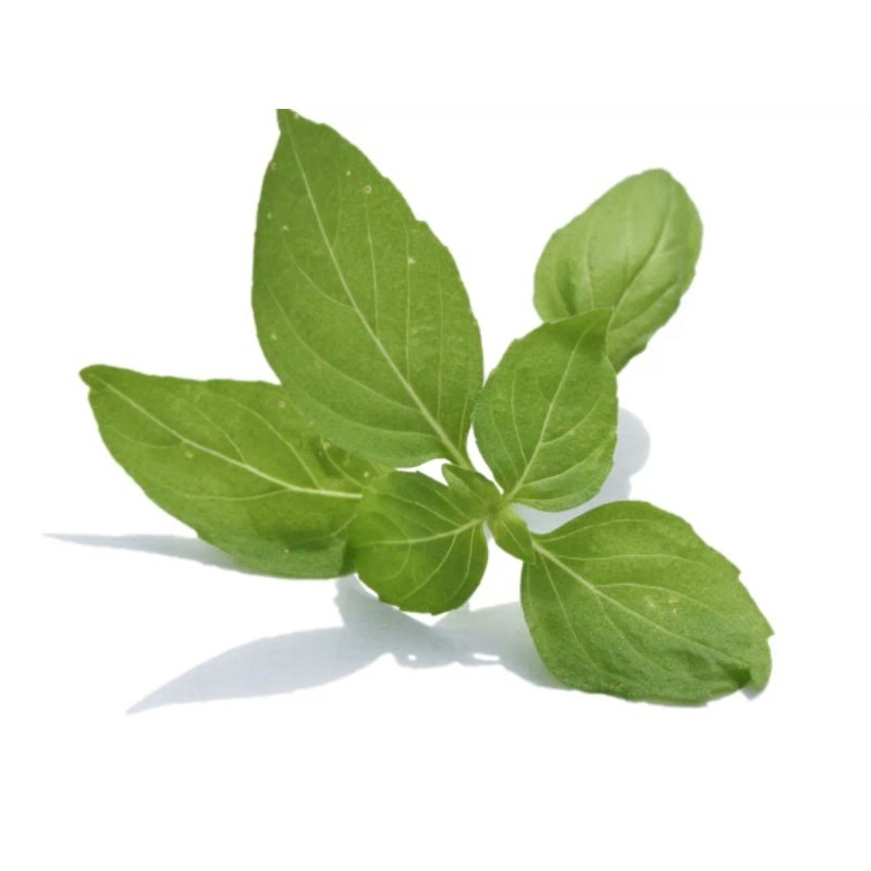 

sayur daun kemangi / surawung 1 ikat by pasar Tasik online