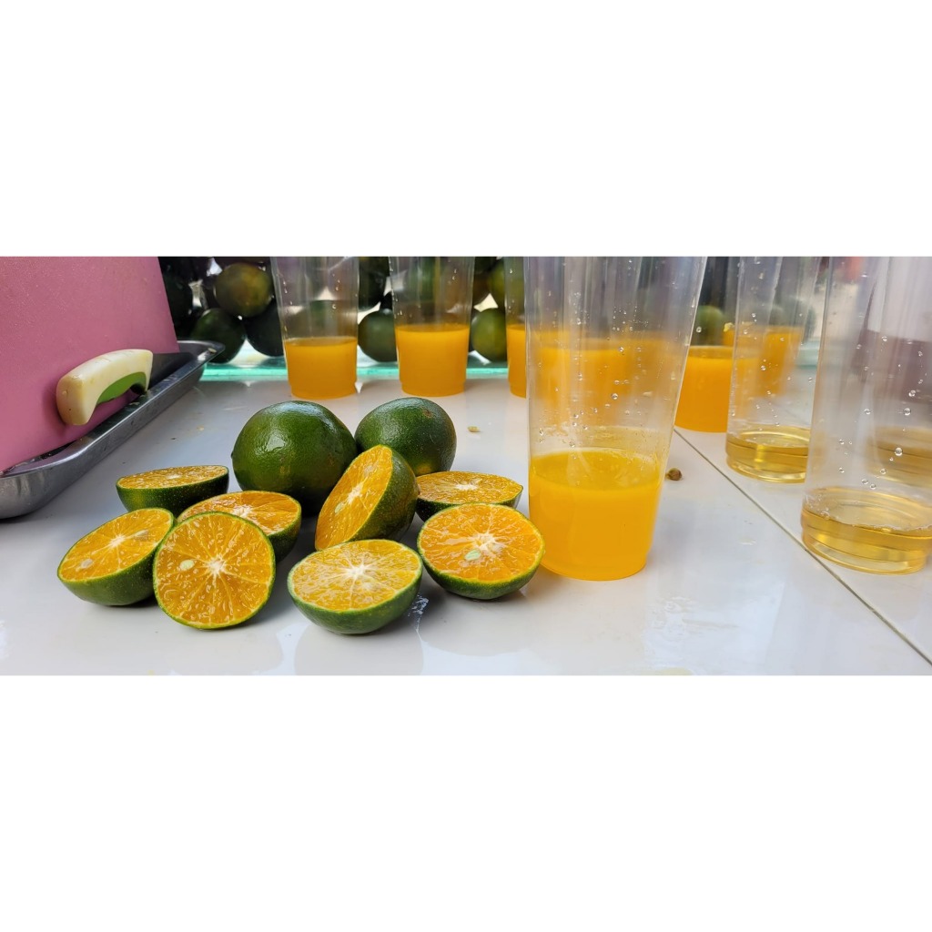 

Jeruk peras 1KG /Jeruk jember seger - fresh setiap hari