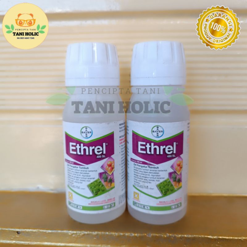 ZPT Ethrel 100ml