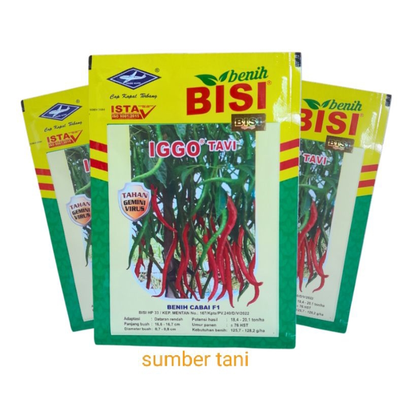 Benih cabe keriting IGGO tavi F1 10 grm