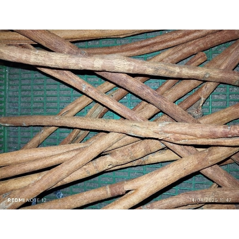 

kayu manis, perbatang