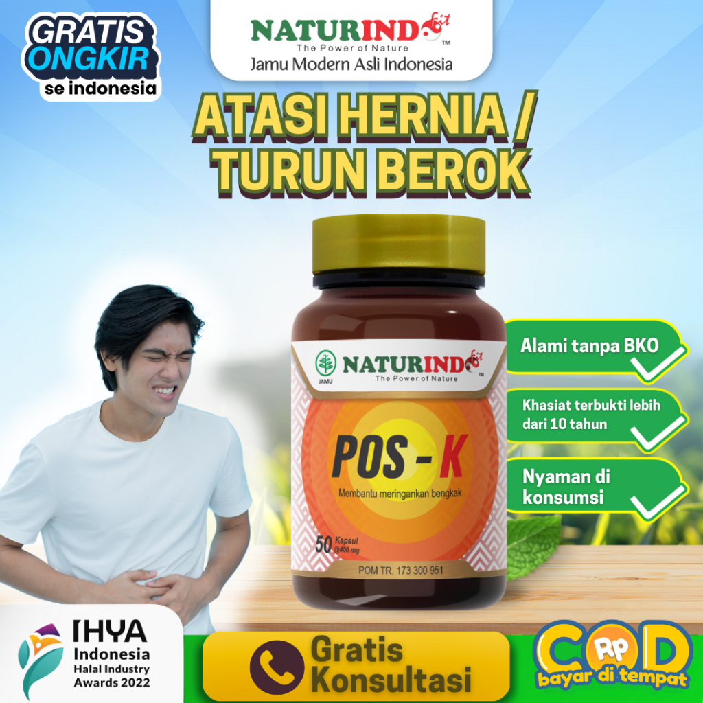 Pos K Herbal Turun Berok Hernia Varikokel Herbal Hernia Benjolan Varises Naturindo
