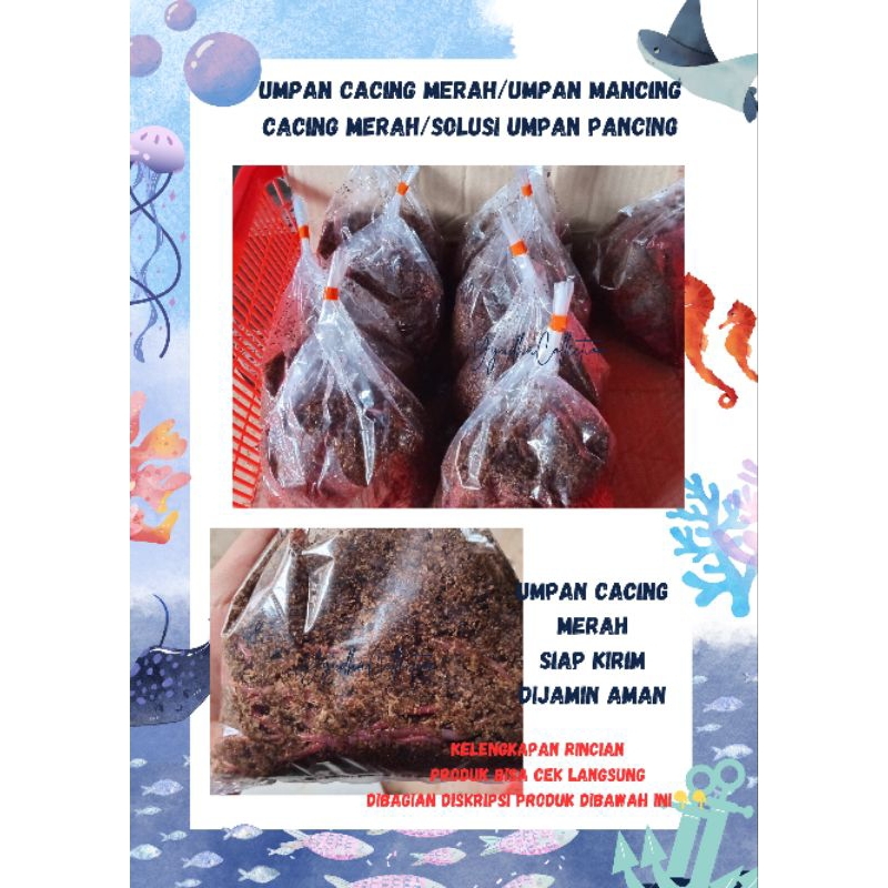 Umpan Mancing Cacing Merah Siap Kirim/Umpan Pancing/Umpan Cacing