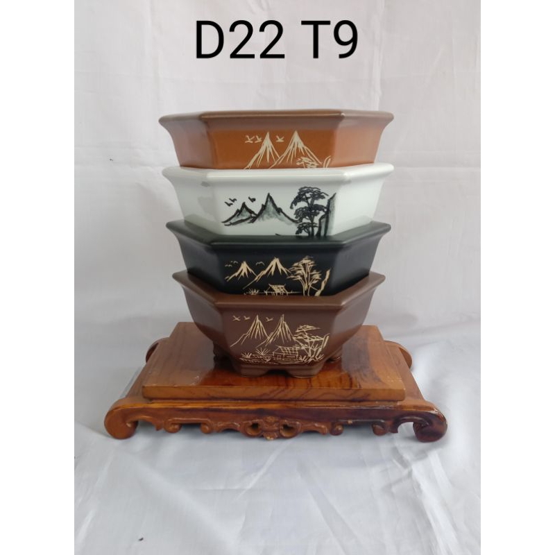 pot bonsai  segi enam