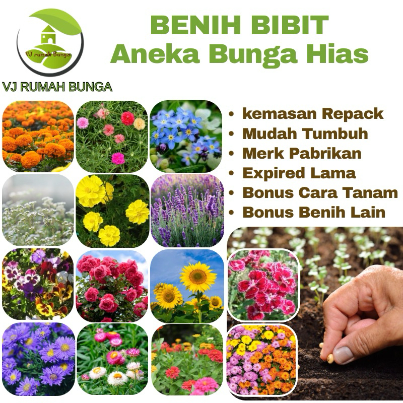 VJ RUMAH BUNGA-Benih Bibit Bunga Hias Benih Bunga Unggul