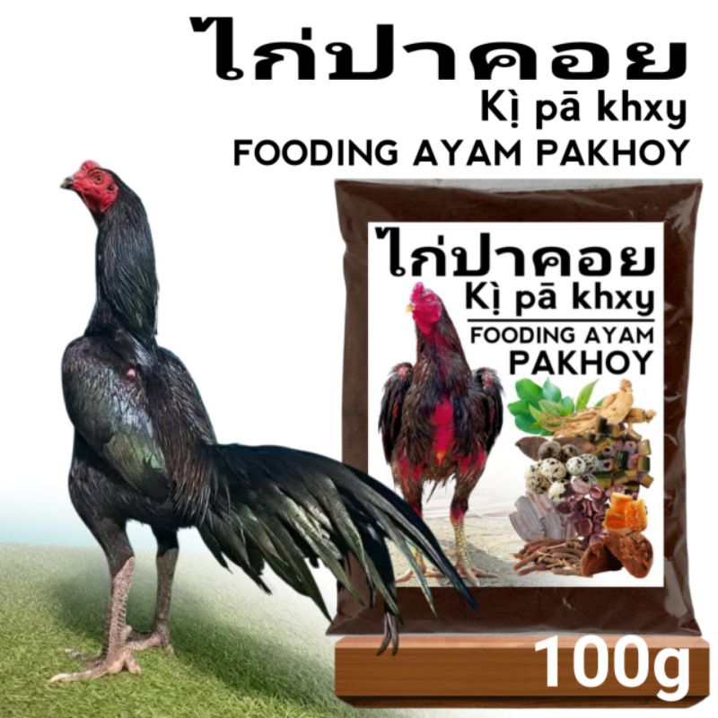 Fooding ayam Pakhoy drumband