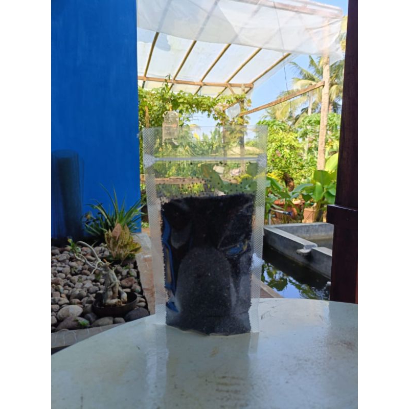

Habbatusauda berat 1kg/ jinten hitam