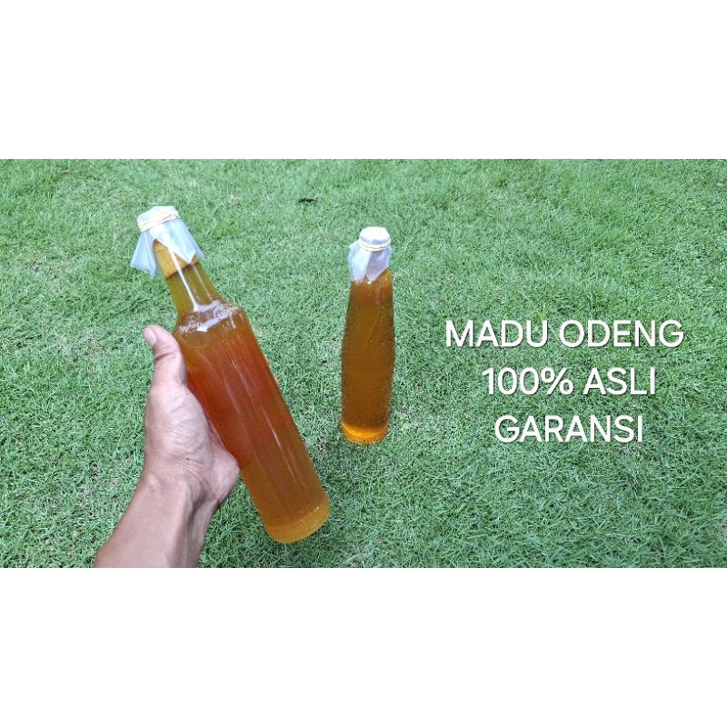 

Madu Odeng Hutan Asli