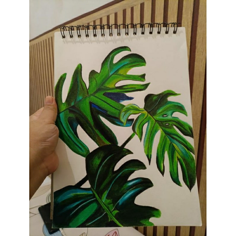 

Gambar daun Monstera
