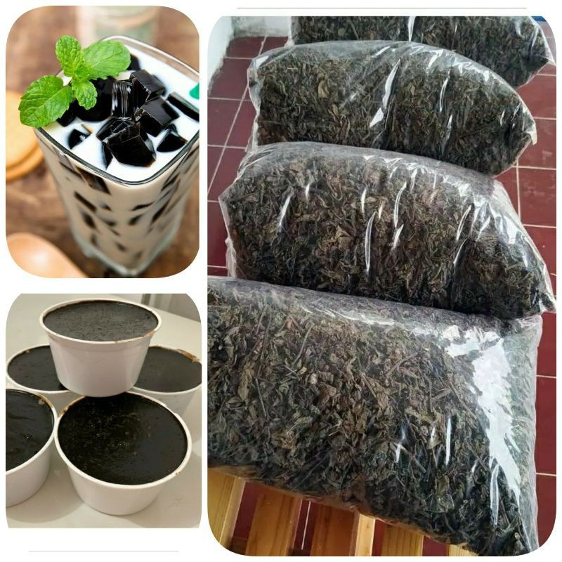 

Daun Cincau Kering | Bahan Cincau Hitam | Bahan Jelly | Daun Janggelan Kering