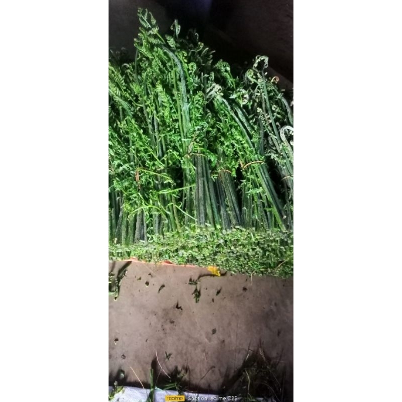 

sayurpakis_segar_tiap_hari