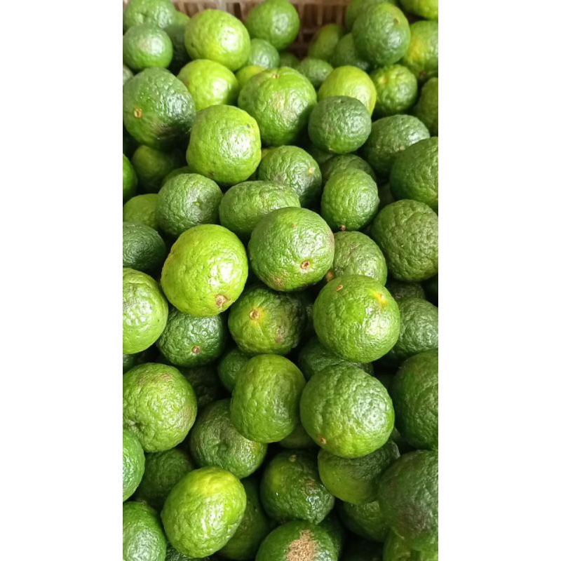 

jeruk limo sambel jeruk limo seger fres 250gr 500gr 1000gr