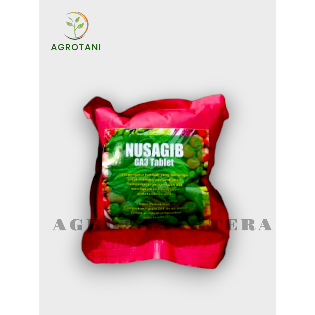 NUSAGIB GA3 TABLET