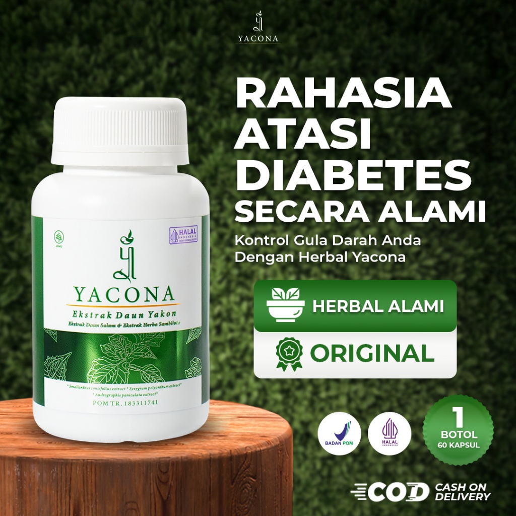 Obat Diabetes Yacona Kapsul Diabetes Herbal Gula Darah Perbaiki Sel Beta Pankreas 60 Kapsul