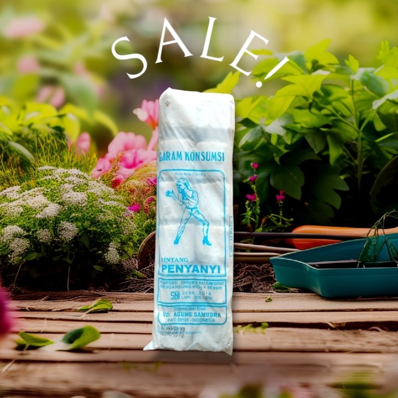 

Garam Bata Konsumsi Beriodium & Berkualitas Bintang Penyanyi - 700g