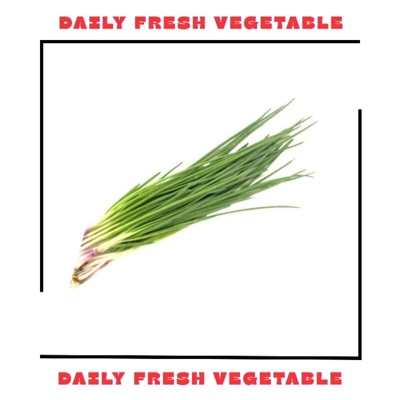 

Daun Bawang Kecil Fresh 1 Ikat