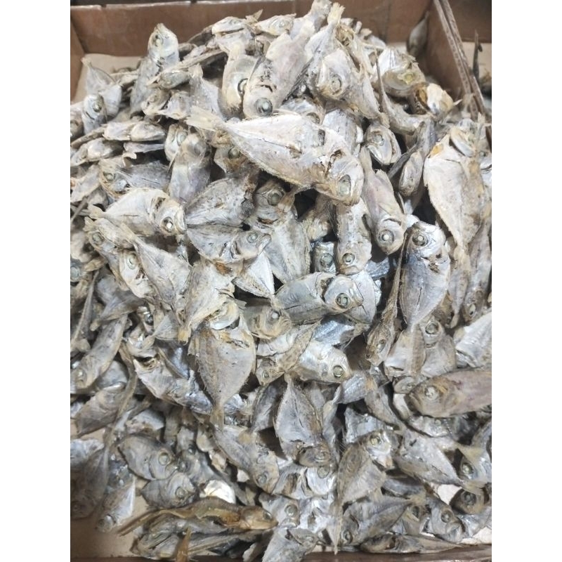 

IKAN MACO SUPER PREMIUM