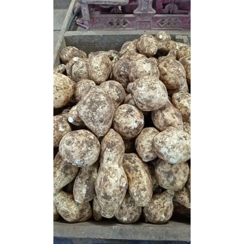 

ubi putih/bodas frees 500gr 1000gr