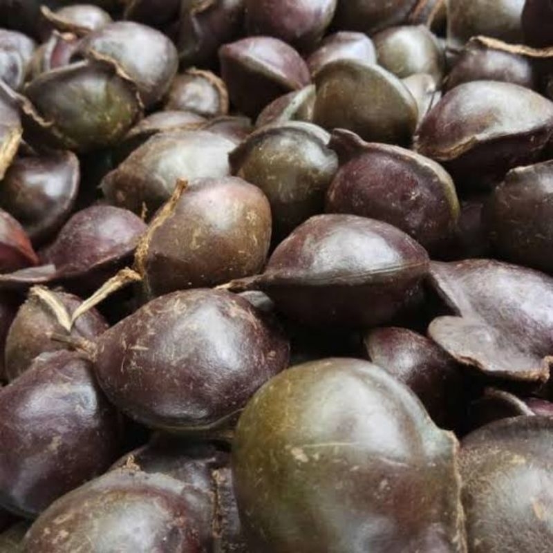 

jengkol tua / jengkol kulitan ½ kg