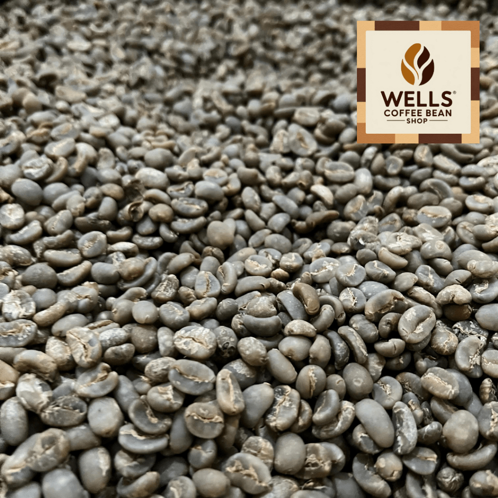 

PROMO Well's Biji Kopi - en Bean Coffee / Biji Kopi Mentah Arabika Sidikalang Semi Wash 1 - 1 Kg