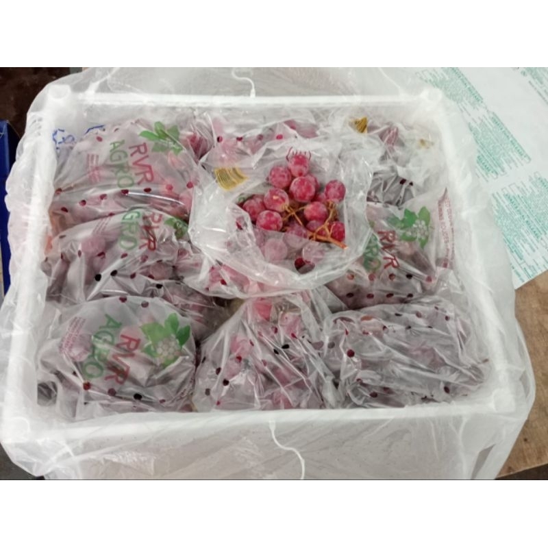 

BEST SELLER!!! Anggur Red Globe Peru XL 500gr